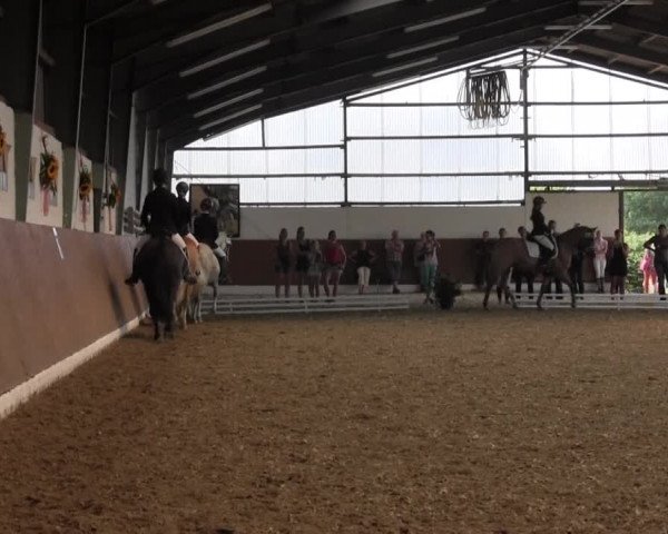 Reitturnier Datteln 2015