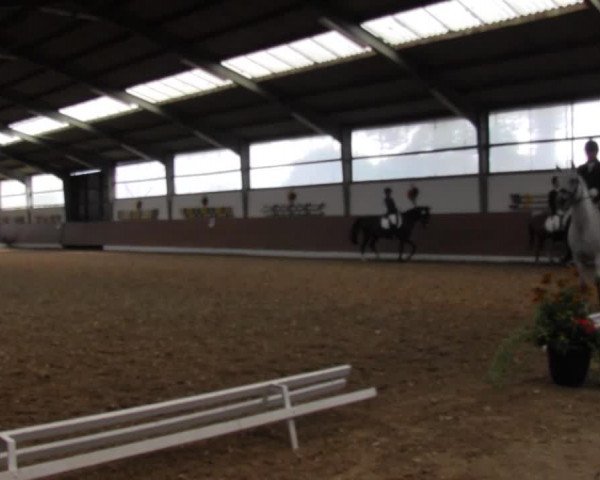 Reitturnier Datteln 2015
