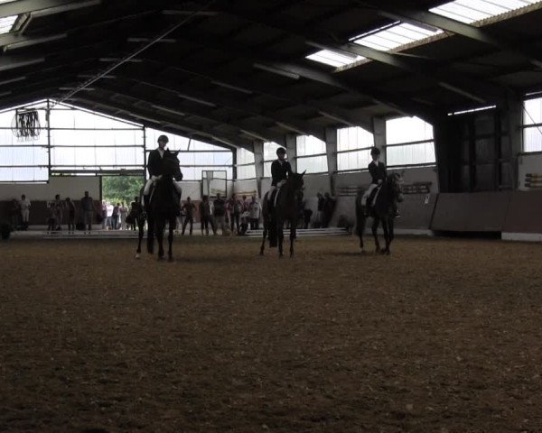 Reitturnier Datteln 2015