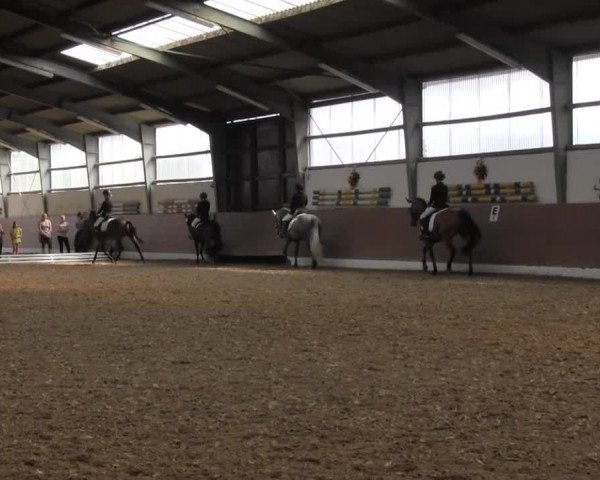 Reitturnier Datteln 2015