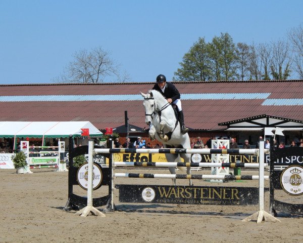 jumper Crusados (Westphalian, 2004, from Cornet Obolensky)