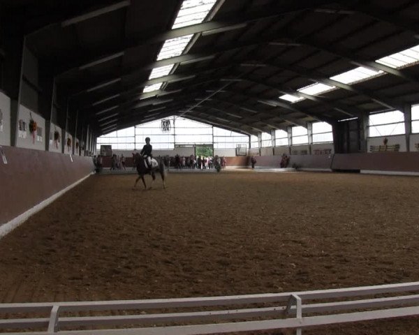 Reitturnier Datteln 2015