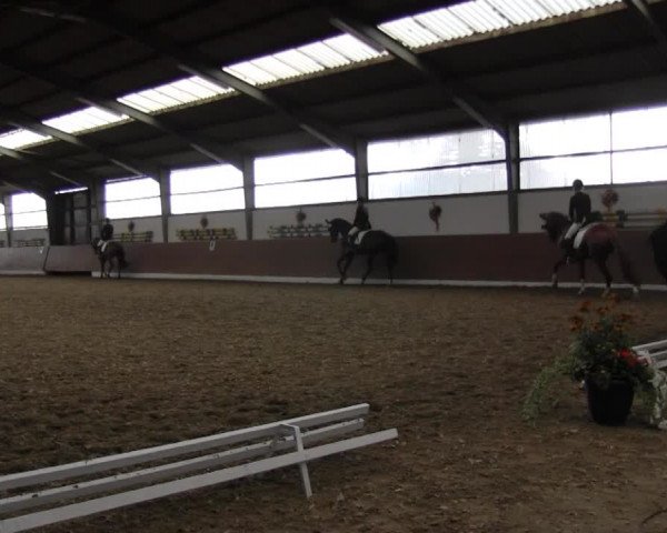 Reitturnier Datteln 2015