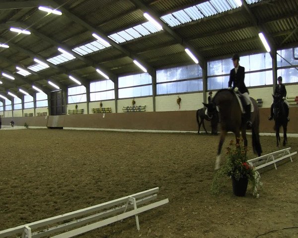 Reitturnier Datteln 2015