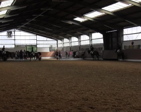 Reitturnier Datteln 2015