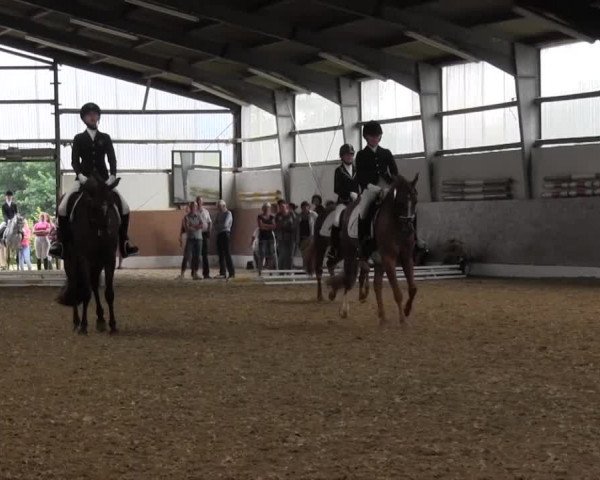 Reitturnier Datteln 2015