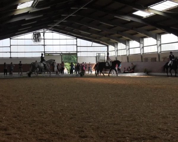 Reitturnier Datteln 2015