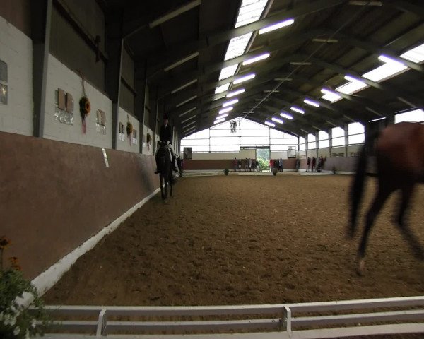 Reitturnier Datteln 2015