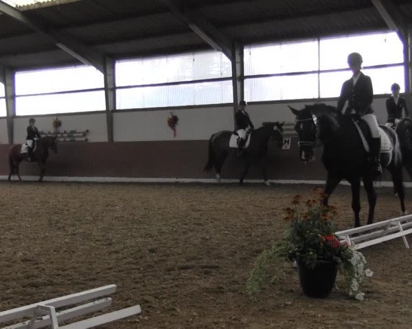 Reitturnier Datteln 2015