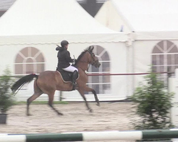Reitturnier Datteln 2015