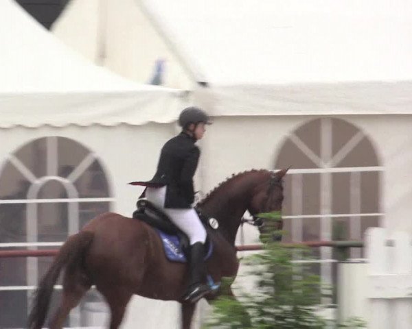 Reitturnier Datteln 2015