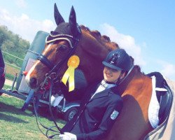 dressage horse Bentley (Westphalian, 2004, from Belissimo NRW)