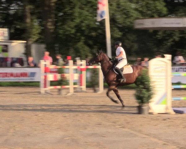 Reitturnier Datteln 2015