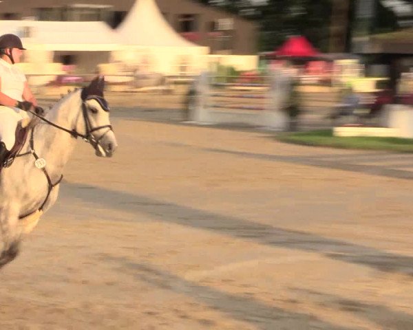 Reitturnier Datteln 2015