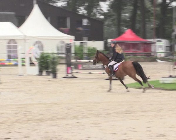 Reitturnier Datteln 2015