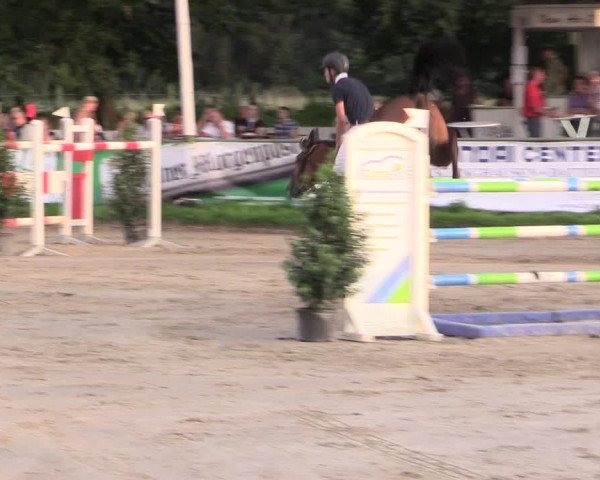 Reitturnier Datteln 2015