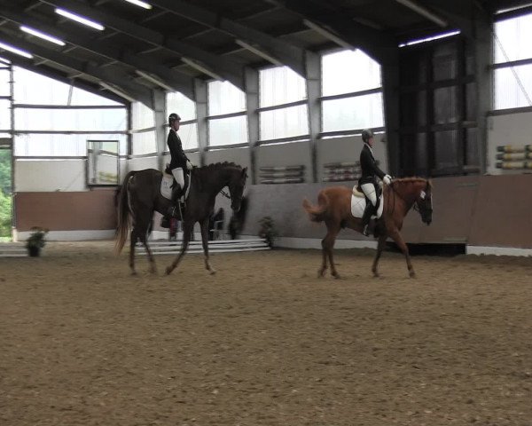 Reitturnier Datteln 2015