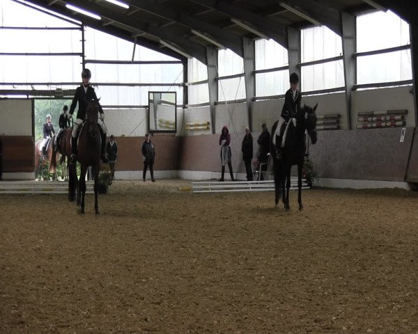 Reitturnier Datteln 2015