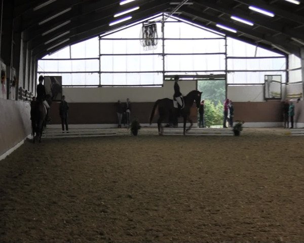 Reitturnier Datteln 2015