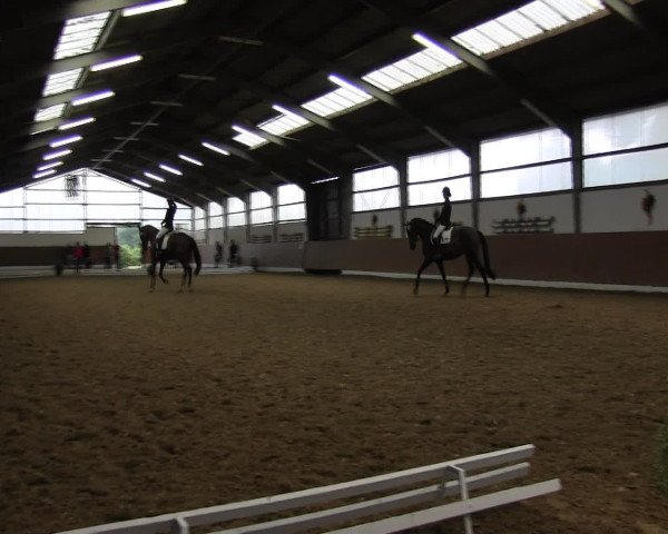 Reitturnier Datteln 2015
