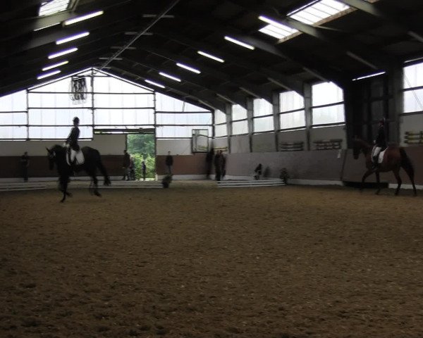 Reitturnier Datteln 2015