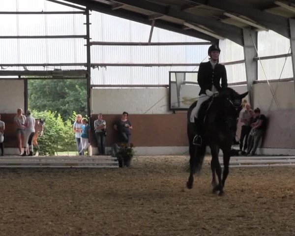Reitturnier Datteln 2015