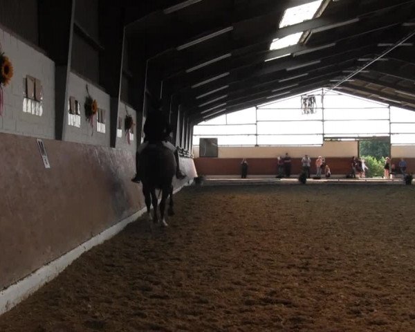 Reitturnier Datteln 2015