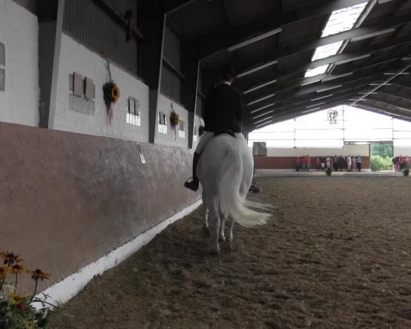 Reitturnier Datteln 2015