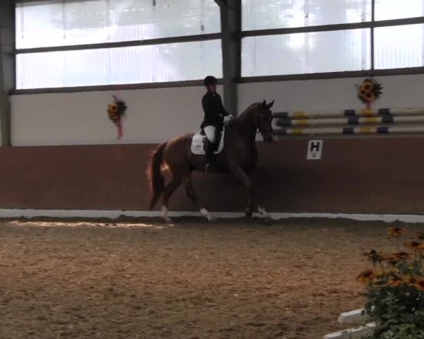 Reitturnier Datteln 2015