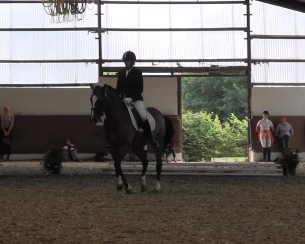 Reitturnier Datteln 2015