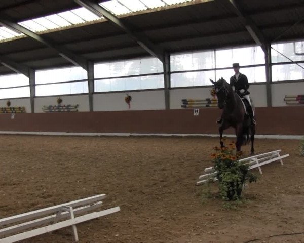 Reitturnier Datteln 2015