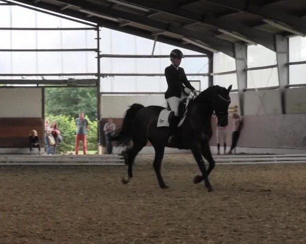 Reitturnier Datteln 2015
