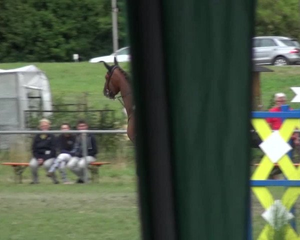 Gültsteiner Springtage 2015