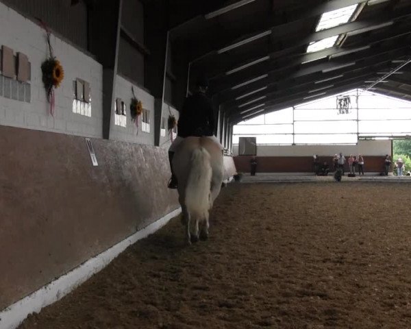 Reitturnier Datteln 2015