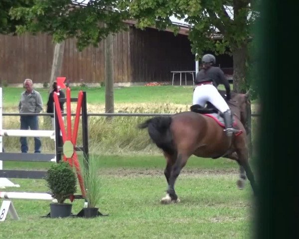 Gültsteiner Springtage 2015