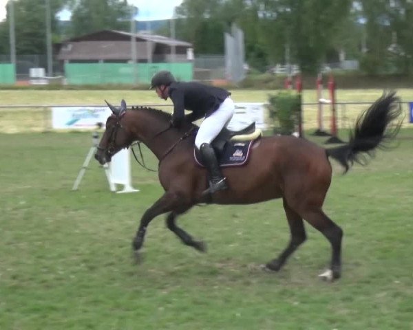 Gültsteiner Springtage 2015