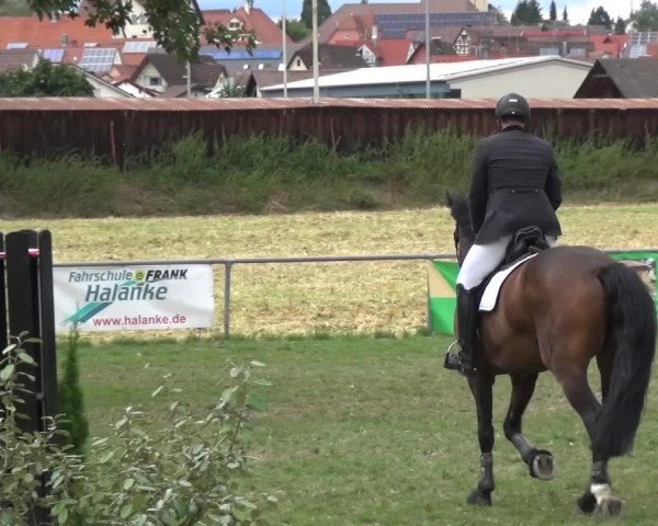 Gültsteiner Springtage 2015