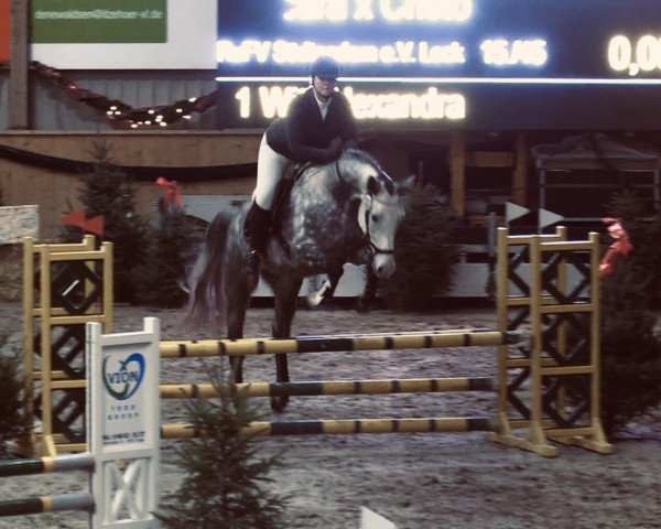 jumper Barbossa K (Holsteiner, 2017, from Cancara)