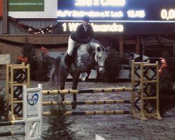 jumper Barbossa K (Holsteiner, 2017, from Cancara)
