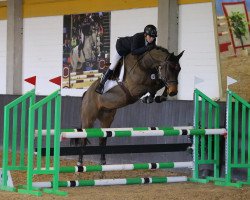 Springpferd Rio Negro Z (Zangersheide Reitpferd, 2014, von Rodrigoo VDL)