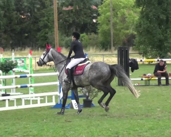 Gültsteiner Springtage 2015