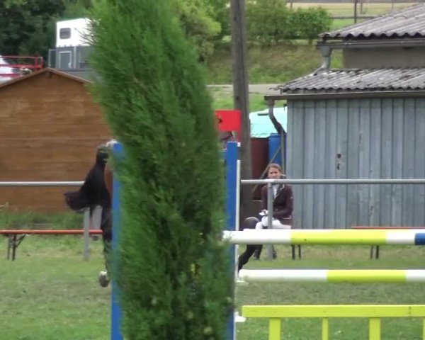 Gültsteiner Springtage 2015