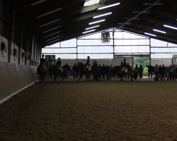 Reitturnier Datteln 2015