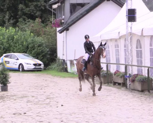 Reitturnier Datteln 2015