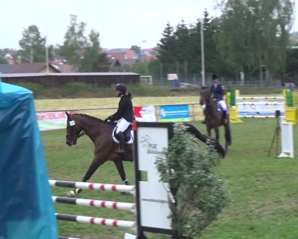 Gültsteiner Springtage 2015