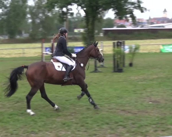Gültsteiner Springtage 2015