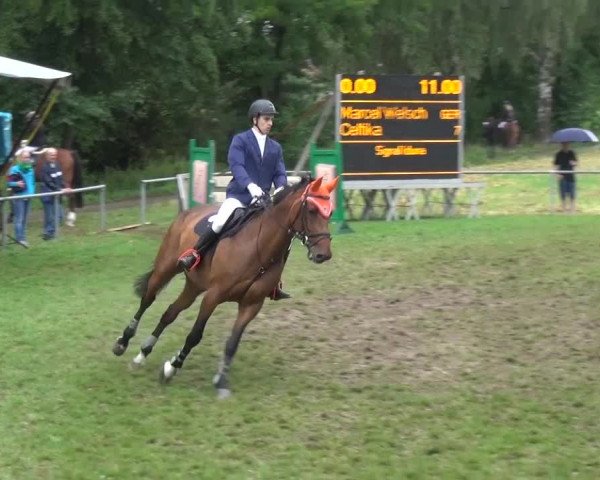 Gültsteiner Springtage 2015