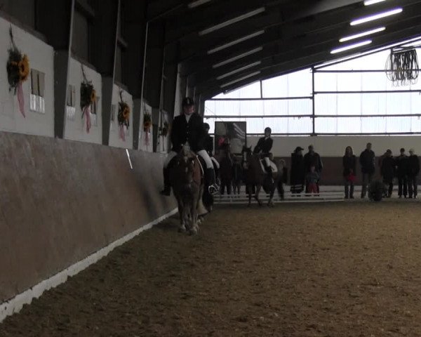 Reitturnier Datteln 2015