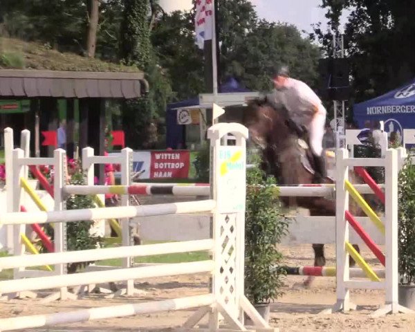 Reitturnier Datteln 2015