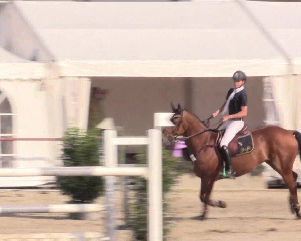 Reitturnier Datteln 2015